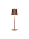 Anna's Collection Tischlampen mit Orangefarbenem Hut und Basis