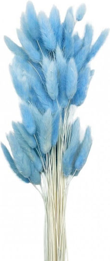 Dried Lagurus Light Blue 60cm 1 Bouquet Dried Lagurus Light Blue 60cm 1 Bouquet