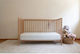 SteweHome Ортопедичен Матрак За Кошара 70x160+10см