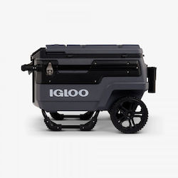 Igloo Portable Fridge 66L Grey