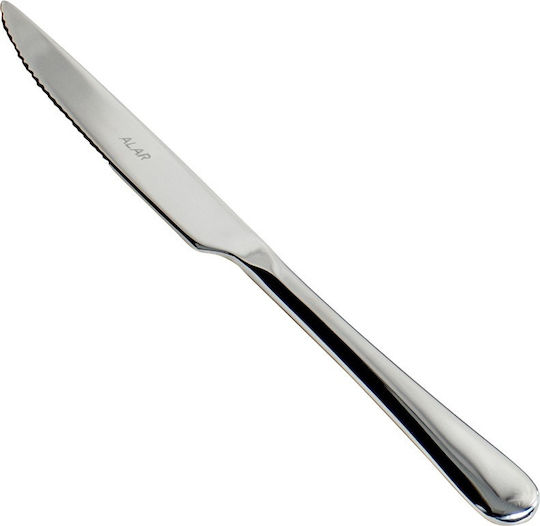 Ready Paris Meat Knife from Stainless Steel 23.4cm