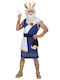 Adult Carnival Costume Zeus