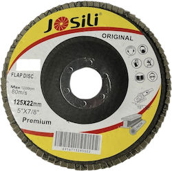 Σετ 10 Δίσκοι Λαμαρίνης 125x22 Mm P80 Λείανση Ξύλου Μετάλλου Γωνιακό Τροχό – Cobi Smart