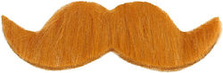 Mustache / Beard Mustache / Beard