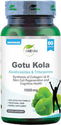 Grewia Готу Кола 1000мг 60 капсули