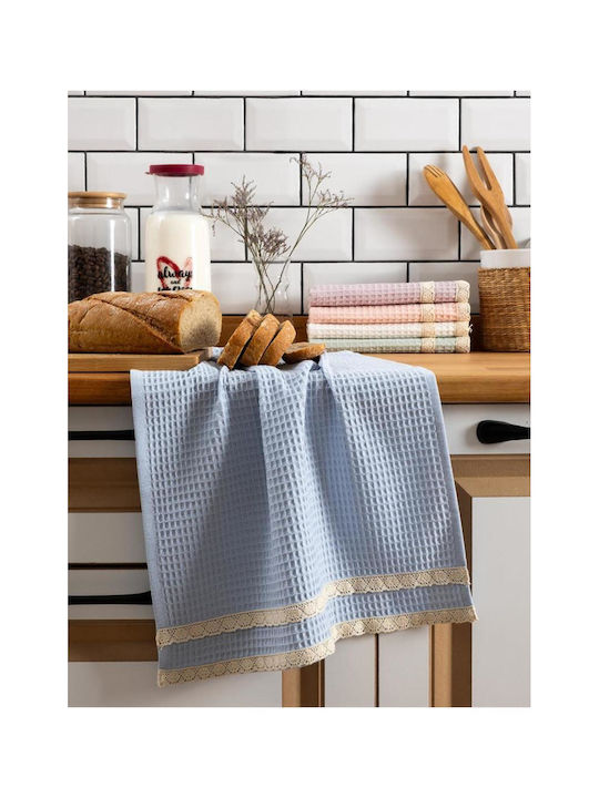 SteweHome Kitchen Towel Made of 100% Cotton in Blue Colour 40x60cm 5 Pieces