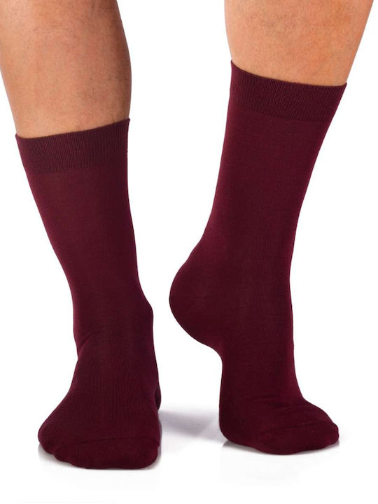 Pirin Hill Men's Burgundy Socks