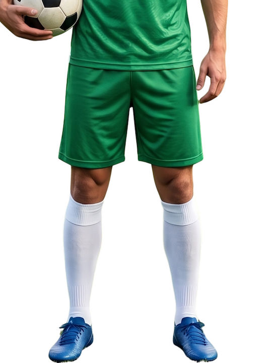 Cama Men's Green Shorts