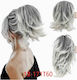 Extension in Gray Colour