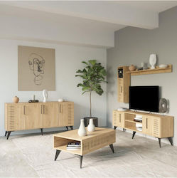 Set Mobilier STE-021321-P21321 3 Bucăți