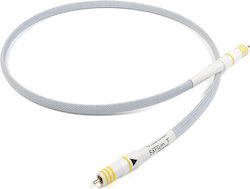 Chord Sarum T Digital Chord Sarum T Digital