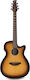 Ovation Semi-Acoustic Guitar Applause
