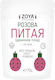 ZoyaShop Aromă Pentru Cofetărie Pulbere