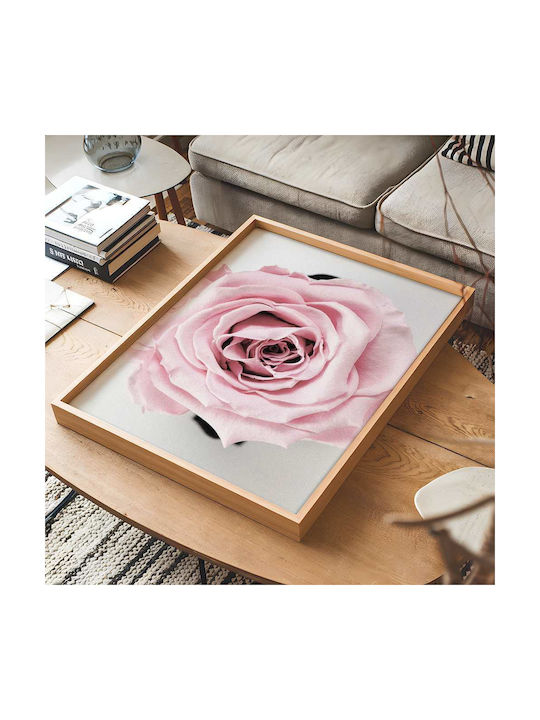 Poster Rose Pst2521 40cm X 50cm Premium Black Wooden Frame
