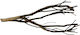 Talawa Wood 30-45cm