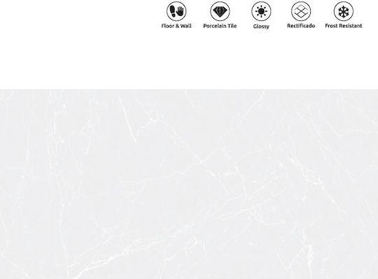 LV Granito Fliese Für Innenbereich Boden Wand Porzellan Glänzende Oberfläche 120x60cm Bianco