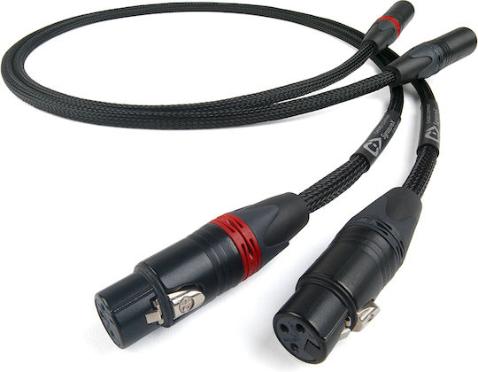 Chord Tuned Aray Cable XLR male - Μαύρο 1m