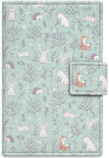Baby Star Baby Health Book Cover D089.SPRING
