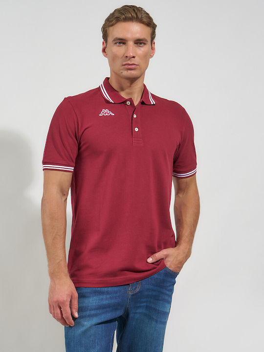 Kappa Maltax 5 Polo Μπλούζα Μπορντο Kappa Maltax 5 Polo Μπλούζα Μπορντο