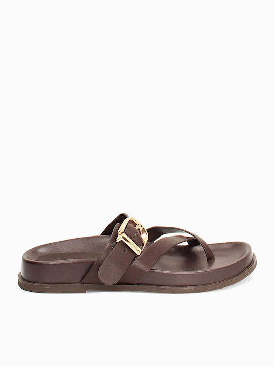 Primadonna Brown Sandals