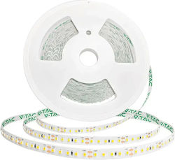 V-TAC Ταινία LED 24V Ψυχρό Λευκό 20m V-TAC Ταινία LED 24V Ψυχρό Λευκό 20m