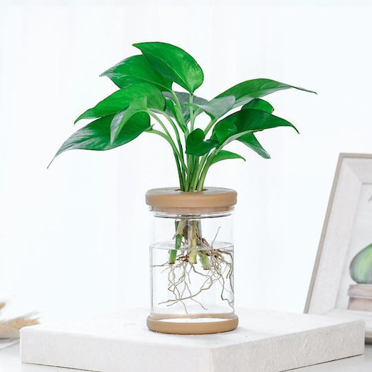 Selbstbewässernder Kunststoff-Blumentopf Transparent