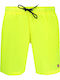 Men's Swimwear Shorts Blonde