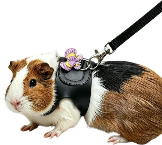 Chinchilla Guinea Pig Strap Leash Outdoor Small Pets Specifications Black M