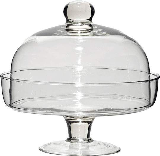 General Trade Kuchenteller Glas Transparent 24x25cm General Trade Kuchenteller Glas Transparent 24x25cm