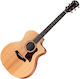 Taylor Semi-Acoustic Guitar