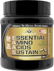 Vitabolic SRL EAAs 300gr Mojito Mango