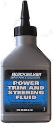 Quicksilver Power Trim