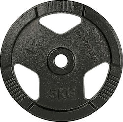 inSPORTline Δίσκος Μεταλλικός 1 x 5kg Φ30mm με Λαβές