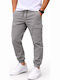 Cargo Trousers in Regular Fit Grey