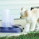 Plastic Food and Water Bowl Feeder and Waterer for Dog 1.5L 32x20x20.5cm PT-200 Blue