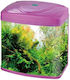 Heto Delux Gebogenes Aquarium Enthält 48lt mit Filter 40x25x40cm Rosa