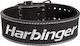 Harbinger Unisex Powerlifting Gym Belt 10 Cm