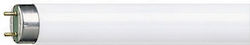Geafos Elite Leuchtstofflampe T8 58w 6400k