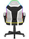Huzaro Ranger 1.0 Gaming Stühle Künstliches Leder mit RGB-Beleuchtung Schwarz / Grau