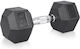 inSPORTline Hexagon Dumbbell Weight 1 x 10kg