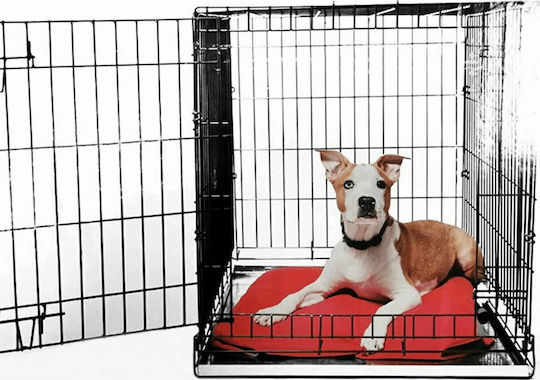 Glee Dog Park Made of Metal in Black Colour 107 x 70 x 77.5cm