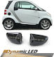 Carro 285880 Πλαϊνά Φλας Φτερού Smart Fortwo 451 07-14 Dynamic Smoke 2 Τεμάχια