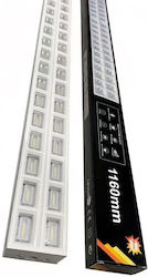 LED Autolampe Kaltes Weiß