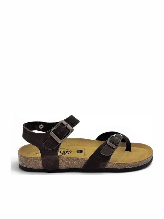 Plakton Sandale De Piele Damă Maro