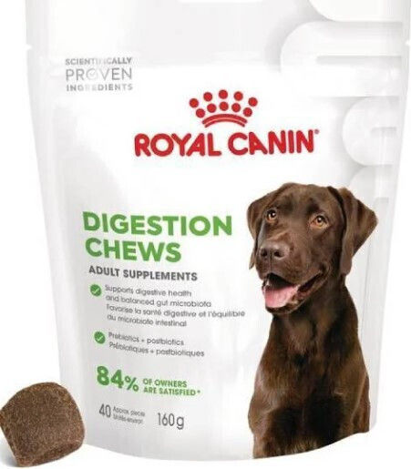Royal Canin Dog Probiotics 160g for Gastrointestinal Disorders