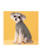 Knitted Sweater For Pet Khaki Back 45cm