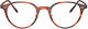 Oliver Peoples Ov5577 1799 47-21-150