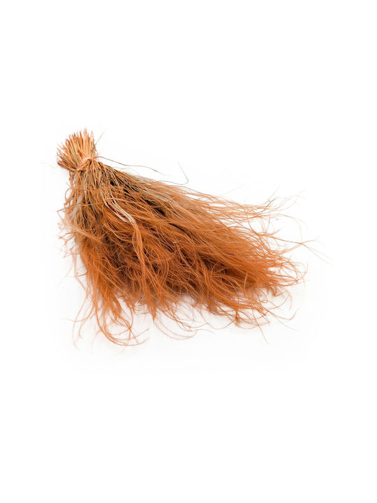 Dried Stipa Feather Grass Stipa Pennata Mustard Yellow