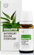 Eucalyptus Essential Oil 10ml