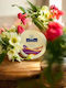 Koutsourelis Foot Cream with 10% Urea 50ml